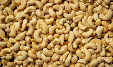 Odisha exports cashew nuts to B'desh