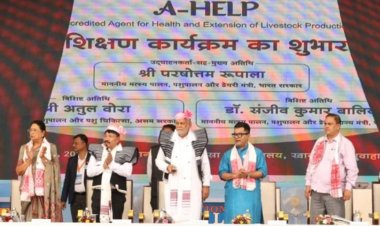 Milk, egg, meat output rises in 2022-23