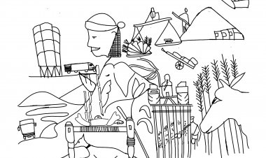 Agenda for Rural India: Agriculture- Difficult Harvests