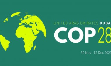 COP28: FAO shapes climate agenda with agrifood solutions