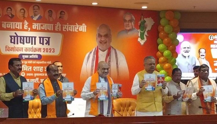 Chhattisgarh polls: BJP promises sops for landless farm workers, paddy procurement at Rs 3,100 a quintal