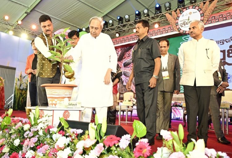 Odisha investing over Rs 2,500cr for providing income, livelihood support to millet farmers
