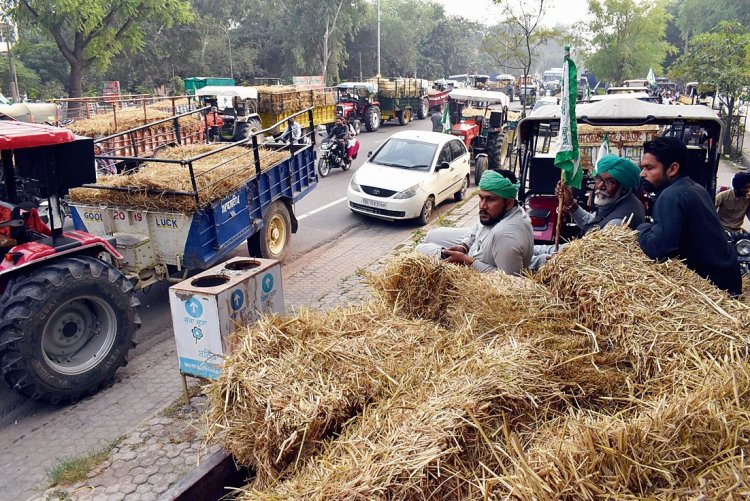 Conflict over stubble increasing in Punjab: Farmers being made villains, says SC