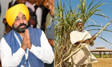 Punjab govt hikes sugarcane price by Rs 11 a qtl to Rs 391; now all eyes on UP