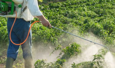 Speciality Chemicals Company Safex Chemicals files DRHP for IPO