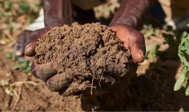 Agri innovator Corteva helps farmers in maintaining soil health