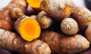 GI tag for Meghalaya's Lakadong turmeric