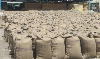 Cabinet approves jute packaging norms for foodgrains, sugar