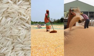 FAO forecasts 3.6 MT more world cereal production in 2023