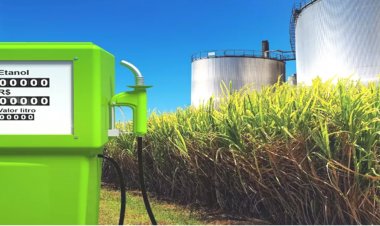 Government to allow diversion of 17 LT of sugar for ethanol production