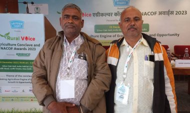 Farmer brings pomegranate to the desert; sells fruits worth Rs 70 lakh in one season