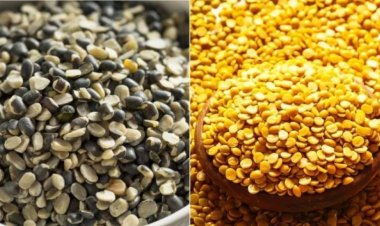Import duty exemption on tur, urad dal extended to Mar 2025