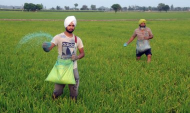 Bringing agriculture back to the centre of policy making