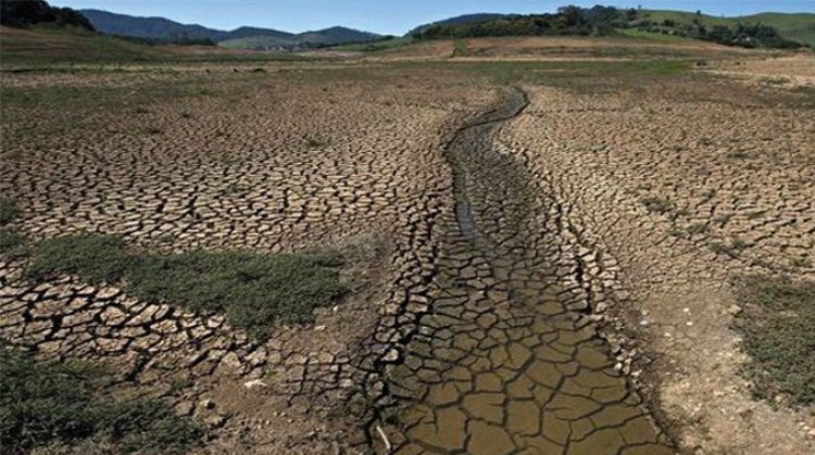 Drought related impacts reach 'unprecedented emergency': UN report