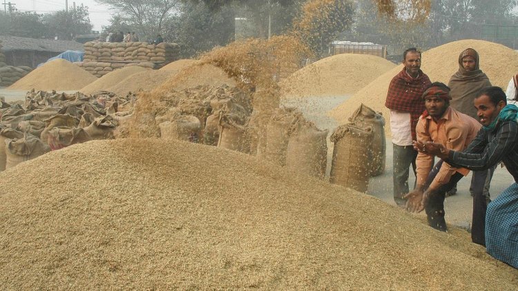Export ban on de-oiled rice bran extended till Mar '24
