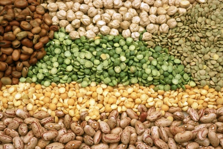 Import of pulses from Brazil, Argentina amid talk of self-reliance