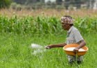 Amid Supply Disruptions, Govt Plans National Framework To Regulate Subsidised Fertilizer Sales