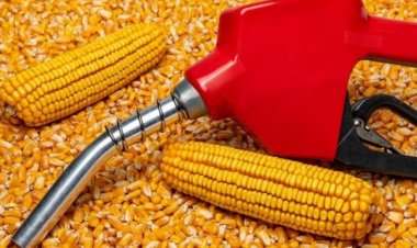 A Bitter Blend: Ethanol Makers Cry Foul Over Skewed Allocation Rules