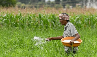 Sulphur coated urea to cost 12.50pc more than neem coated urea