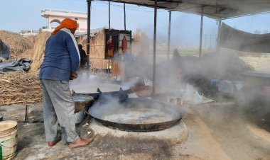 Sugarcane price in UP jaggery units surpass mill rate; state govt yet to fix SAP for current crushing season