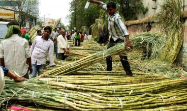 Make farmers shareholders in Corporate India; Convert sugarcane outstanding into equity