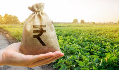Farm sector expects higher allocation for agri schemes in interim Budget