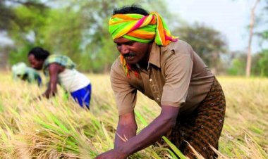 Inflation targeting has adverse impact on agriculture and rural economy