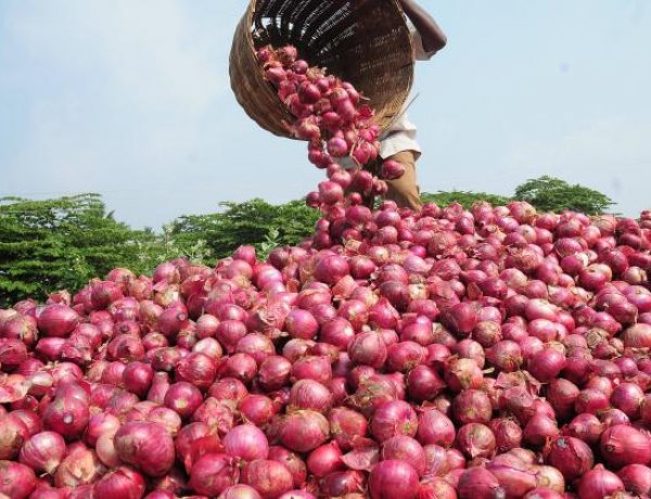 Centre Hikes Onion Procurement Price to Rs 2,125 per Quintal to Accelerate Buffer Stock Creation