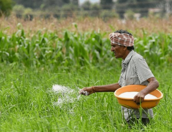 Amid Supply Disruptions, Govt Plans National Framework To Regulate Subsidised Fertilizer Sales