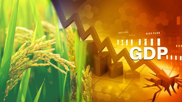GDP to grow by 7.3pc, agri growth pegged at 1.8pc in 2023-24