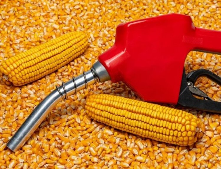 OMCs announce addl incentive of Rs 5.79/liter on maize-based ethanol