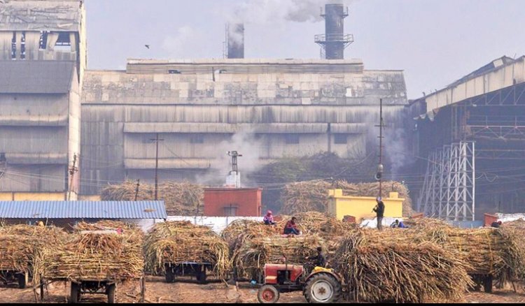 50pc export duty imposed on molasses to boost supply for ethanol production