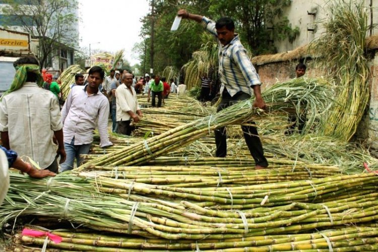 Make farmers shareholders in Corporate India; Convert sugarcane outstanding into equity