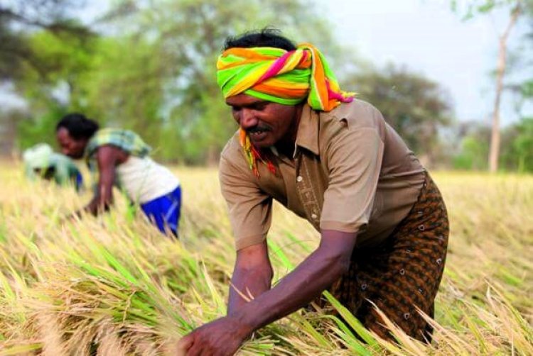 Inflation targeting has adverse impact on agriculture and rural economy