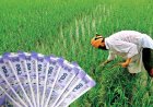 PM-Kisan: ₹20,500 Crore Transferred to 9.7 Crore Farmers in 20th Installment
