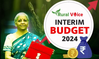 Interim Budget leaves farmers, agri sector high and dry