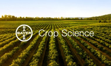 Bayer CropScience Ltd Reports Decline in Quarterly Profit Amid Sluggish Demand
