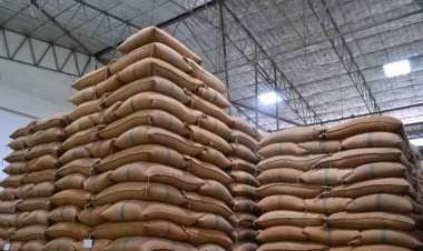 Disclose rice stock, govt tells traders to check prices: Is stock limit on anvil?