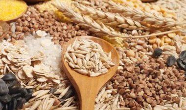 FAO projects record 2023-24 cereal output at 2.836 bn ton