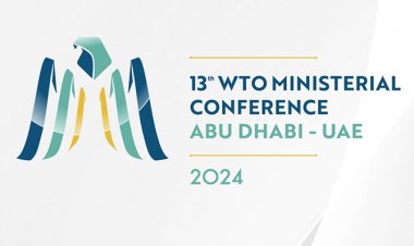 No permanent solution of peace clause expected at 13th ministerial conference of WTO