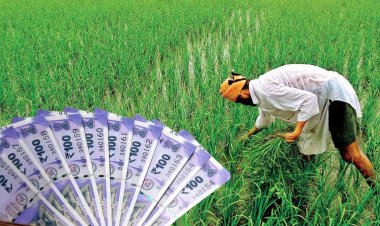 PM-Kisan: ₹20,500 Crore Transferred to 9.7 Crore Farmers in 20th Installment