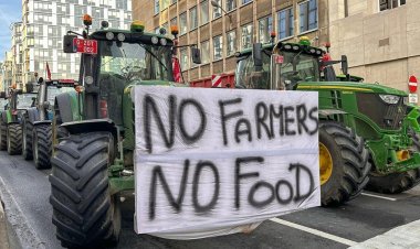 Why peasant movements in Europe, what are the similarities with India?