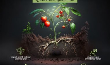 Corteva Agriscience Launches Salibro to Combat Crop-Damaging Nematodes