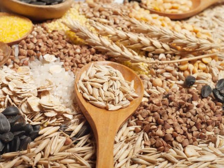 FAO projects record 2023-24 cereal output at 2.836 bn ton
