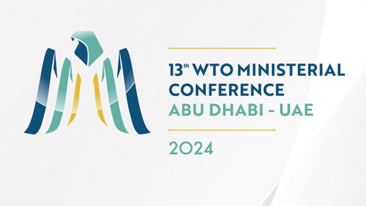 No permanent solution of peace clause expected at 13th ministerial conference of WTO