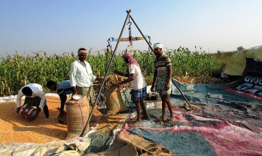 Growth rate of agri, allied sector slips below one pc in 2023-24