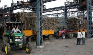 Efforts made by NFCSF on restructuring of outstanding loans bear fruit