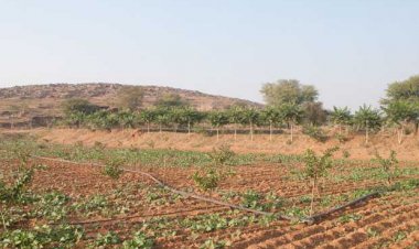 16th Finance Commission and conservation of Natural resources