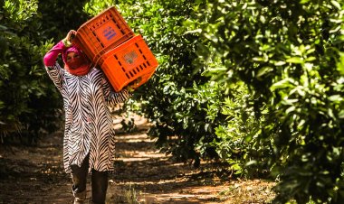 Climate crisis hits women, rural poor and older people harder, a new  FAO report finds