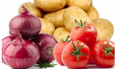 Horticulture crops output to stay flat at 355 MT in 2023-24